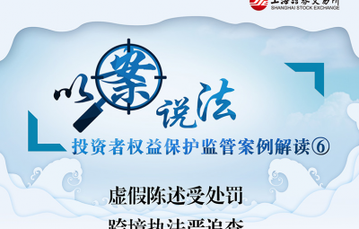 以案说法：虚伪陈述受处分-跨境执法严追查