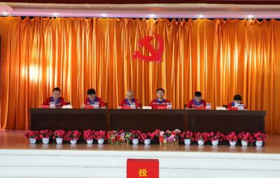 尊龙凯时党委换届选举党员大会胜利召开